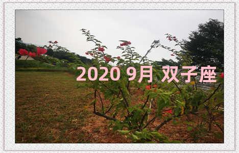 2020 9月 双子座